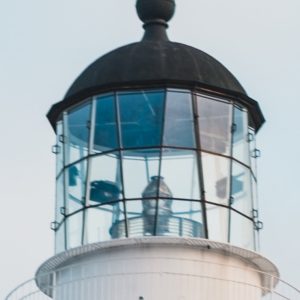 Weather Proof Siren, 240v, 116db