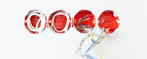 pexels-daria-shevtsova-1583656